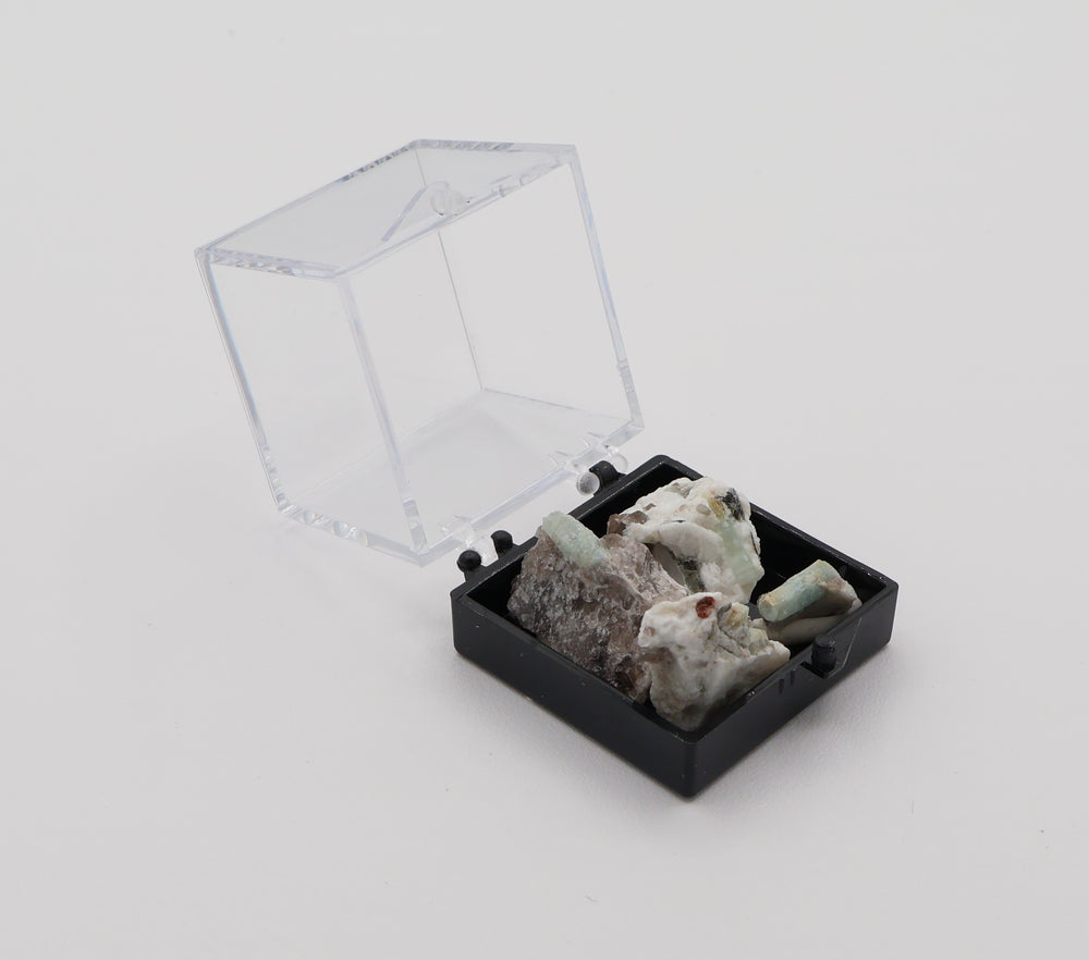 Aquamarine, Spessartine Garnet, Bi-Colour Beryl Showcase Tray