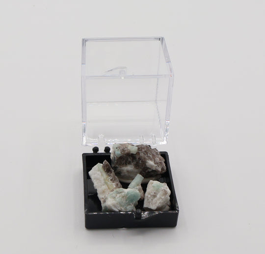 Aquamarine and Bi-Colour Beryl Showcase Tray