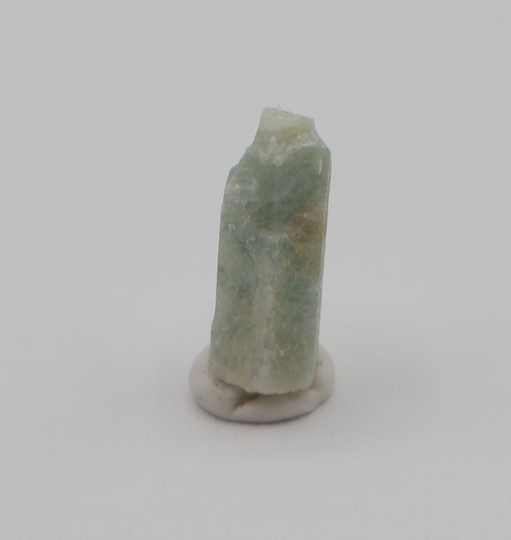 Sceptered Bi-Colour Beryl